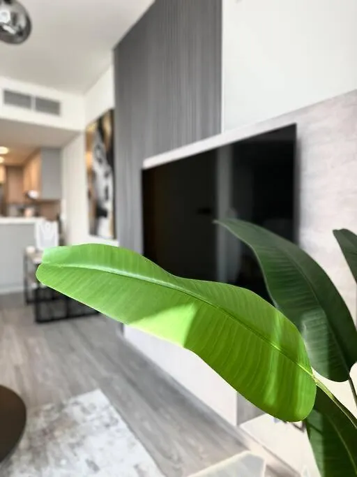 Amazing Modern Spacious Studio At Sky Gardens Difc Apartment Dubai United Arab Emirates